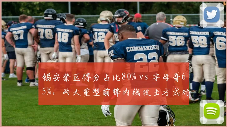 锡安禁区得分占比80% vs 字母哥65%，两大重型前锋内线攻击方式对比